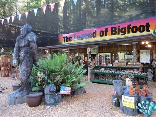 リアルなビッグフット00