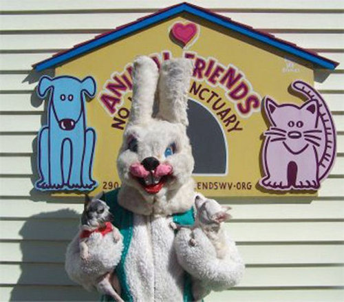 �����������Τ�����02