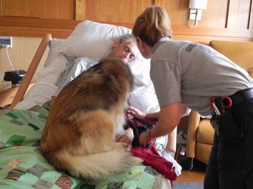 最後は愛犬と01