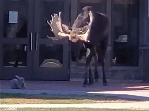 �إ饸����Ω������������01