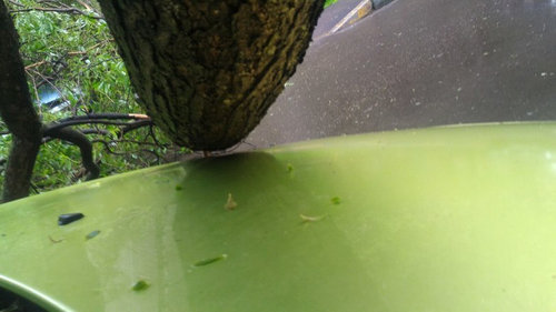 幸運な車の持ち主03