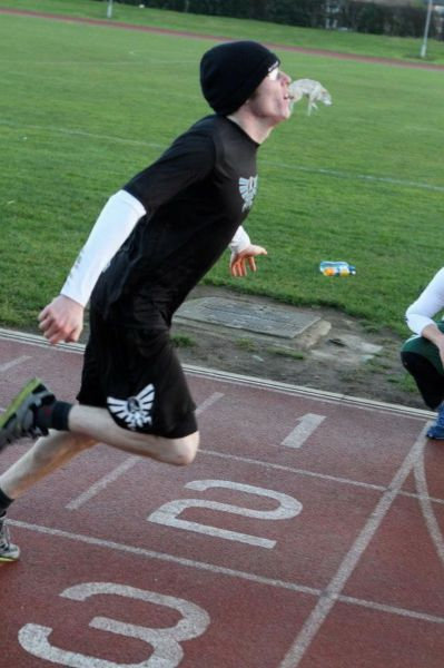 犬の決定的写真14