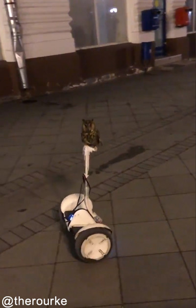 �������������ꤳ�ʤ��ե�����02