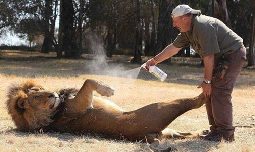 ưʪ�����Τ�����ʤ���15