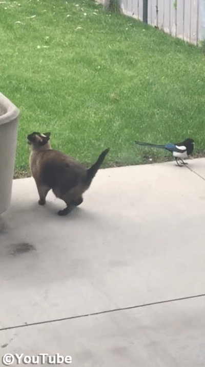 ǭ�Τ��äݤ����ˤʤäƻ������ʤ���������03