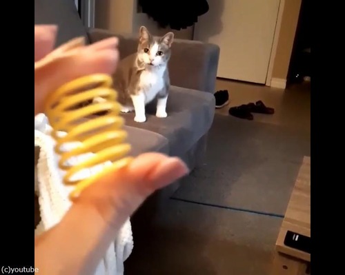 ǭ�֥Хͤ��繥���ʤ�Ǥ���02