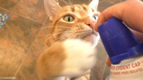 �ۥ��åץ��꡼��򰦤���ǭ04