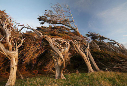 スロープポイント10