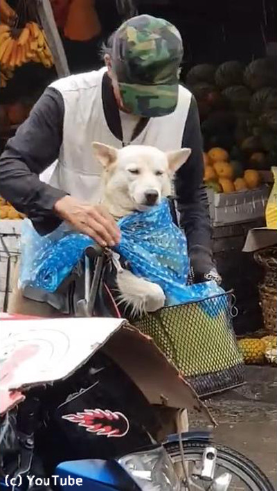 �ߤ���������Ļ����礵�󤬰����ˤȤä���ư�˿����ޤ�02