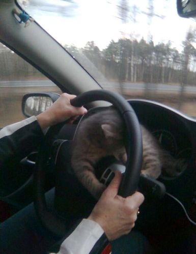 ロシアの危険な運転02