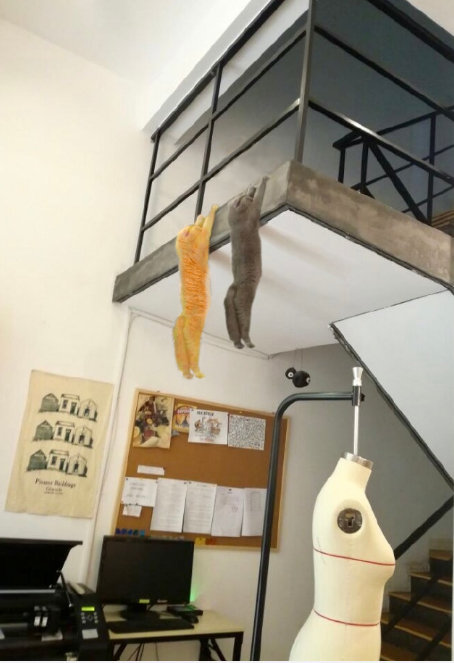 猫のフォトショップバトル09