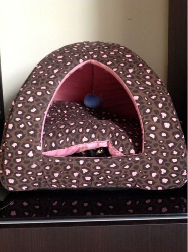 05かくれんぼする猫たち