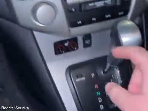 とある猫好きの運転手「新車の機能チェックしてホンワカするとき…」