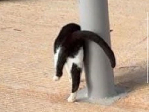 �֤����ο����ǭ�����ˤ�ɾȽ���������ʤ��ʤ�ġ�������Ķ�������02