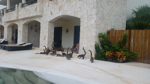 ミニサイズのブロントサウルス01