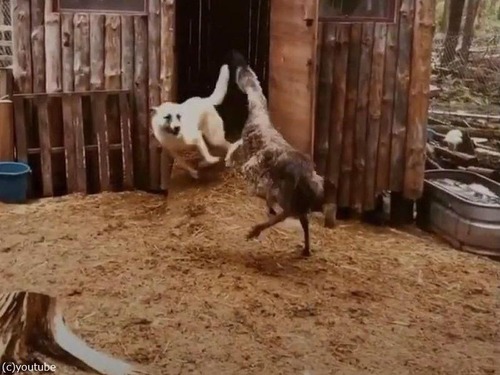 ���ߥ塼�ȸ�01