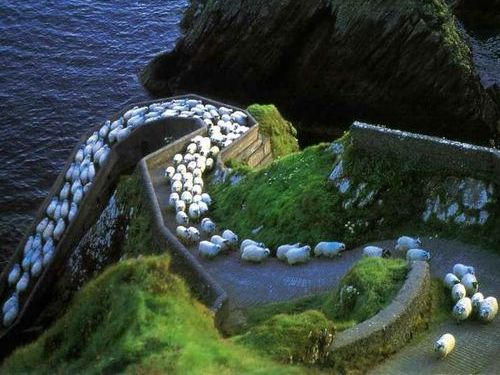 アイルランド「ディングル」10