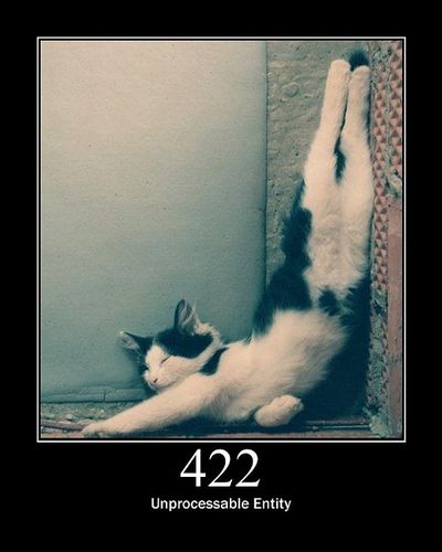 猫でHTTPステータスコード17