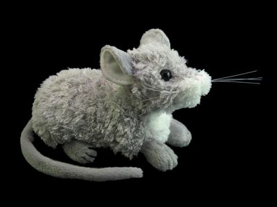 ネズミを食べるよう政府が推奨