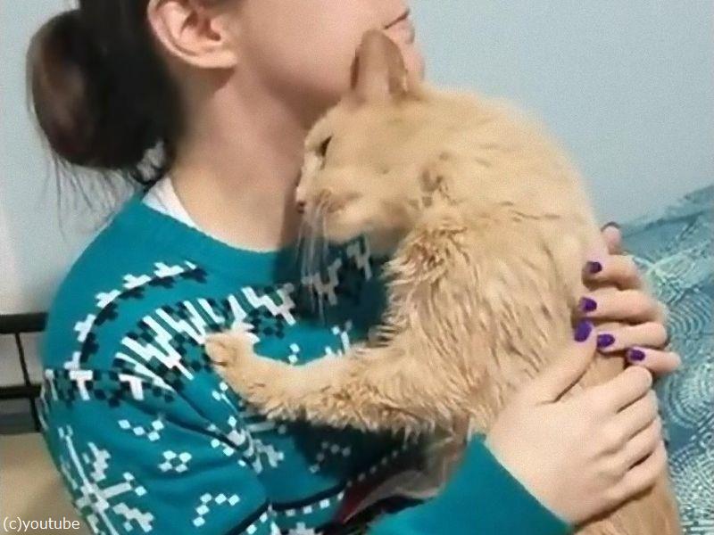 いつもベッタリで離してくれないの 引き取った猫と相思相愛に 動画 らばq いつもベッタリで離してくれないの 引き取った猫と相思相愛に 動画 らばq