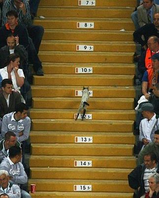 ���å����繥��ǭ04