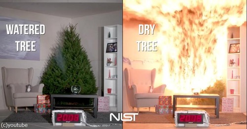 クリスマスツリーの扱い方法に注意03