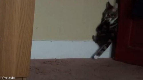 ޥǭ»ҤλǭϢ쵢Ȥ05