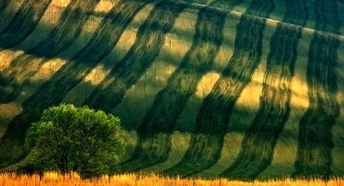 モラヴィアの風景08