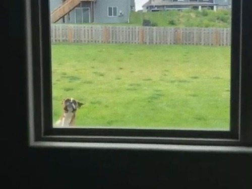 �ܥ��������Υ��ԡ���02