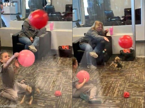 �����ȻҸ�02