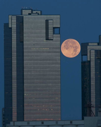 �����ѡ��ࡼ��08