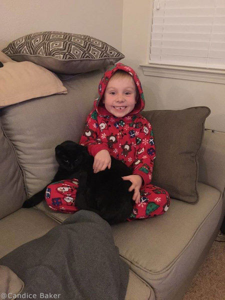 4歳児と2匹の猫が再会02