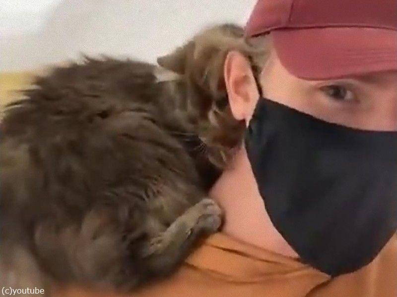 たった数秒で この猫の里親になった理由は 見ての通りだよ 動画 らばq たった数秒で この猫の里親になった理由は 見ての通りだよ 動画 らばq