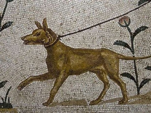 ローマ人は犬のために墓を作っていた01