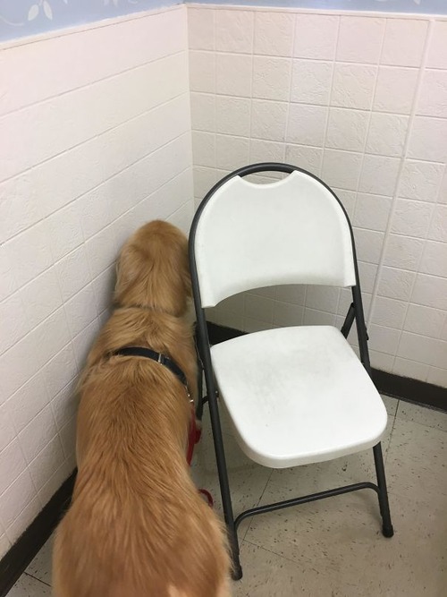 �ð�˹Ԥ��ȸ�ä���05