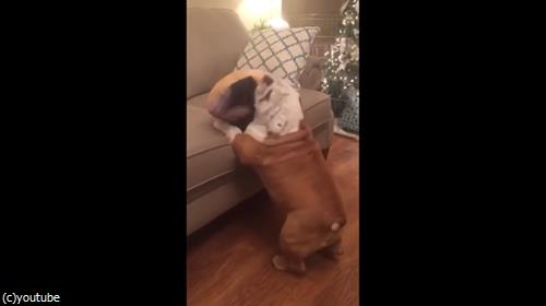 ���ե��˾夬�����Ȥ���֥�ɥå�04