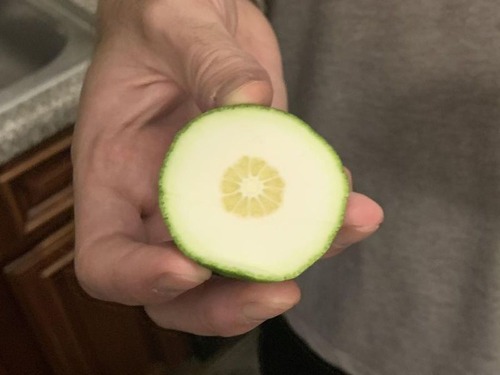 �饤�����01