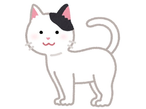 「片耳だけ黒い猫にハートが隠されていることがあるって知ってた？」