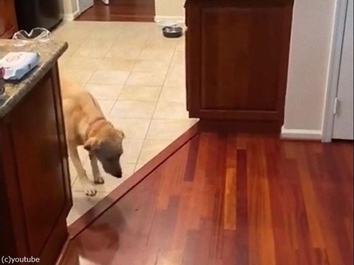 �ե�����󥰤����ʸ�01