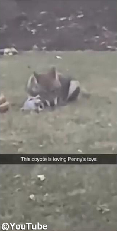 ��äѤ긤�ʤ���ʡ� �����Τ�������ͷ�������Υ��衼��01