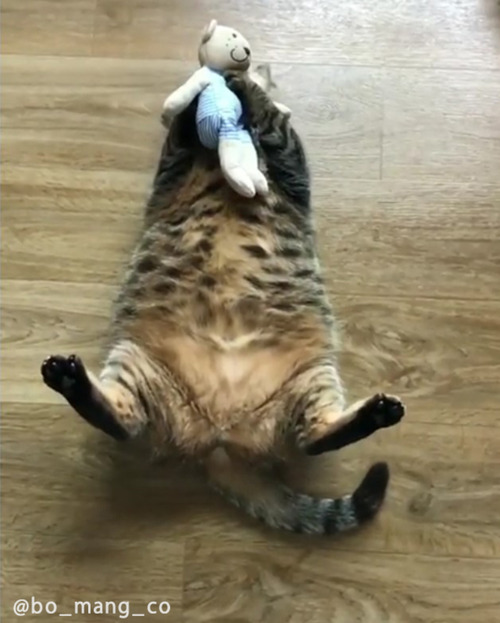 ������㥭��å��ͤ�05