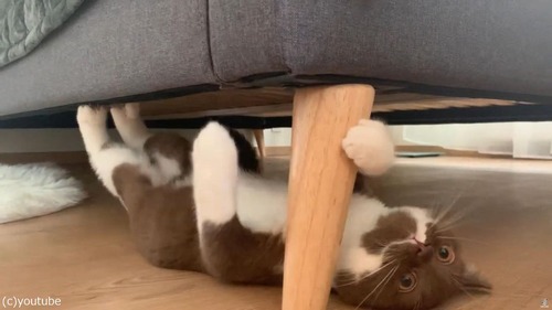 �դ����⤯ǭ04