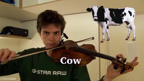 ヴァイオリニストが動物の鳴き声を演奏する01
