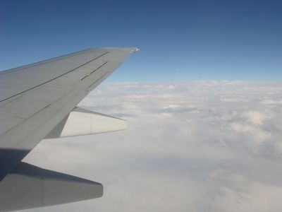 機上の大泥棒00