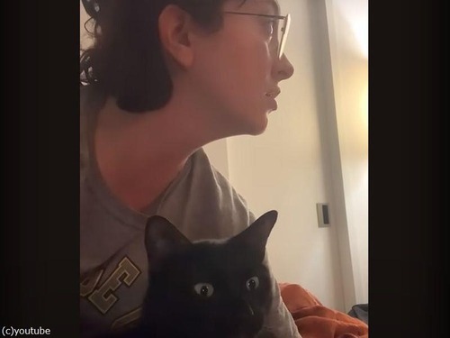 猫が目の前にいるのにキョロキョロ探して名前を呼ぶと…「ここにいるニャ！」と怒られた（動画）