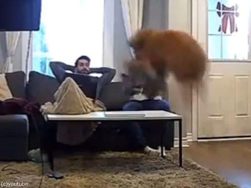 �Ҹ��ε��������緿��02