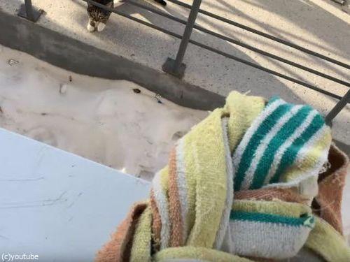 うちの猫の帰宅方法02