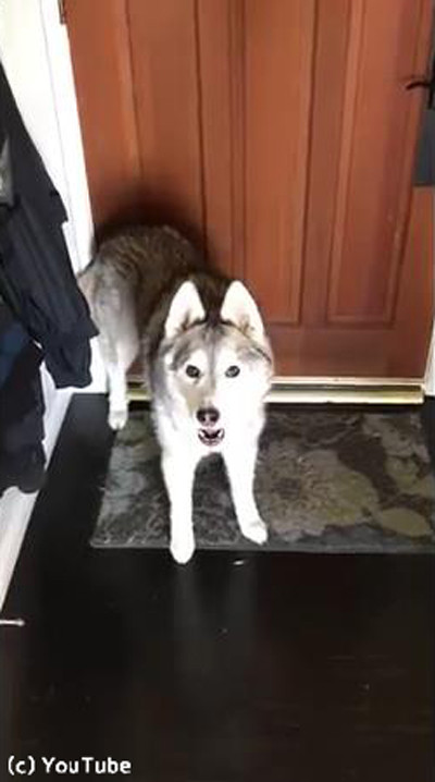 ����ͤ�Ż��˹Ԥ��������ʤ��ϥ�����03