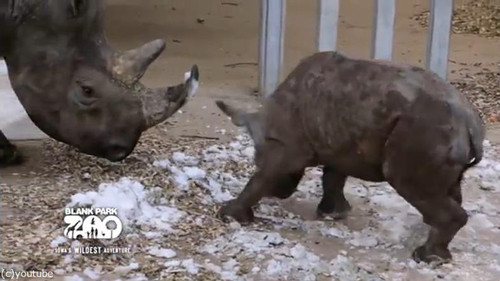 ������򸫤��������֤����06