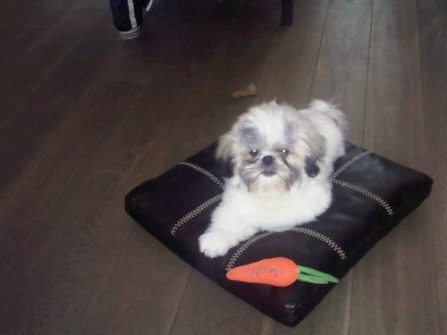 ���ʼ�ĥ��00